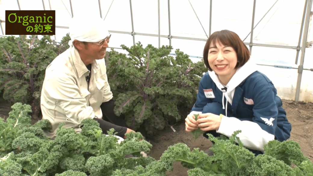 産地リポート（ケール編）
