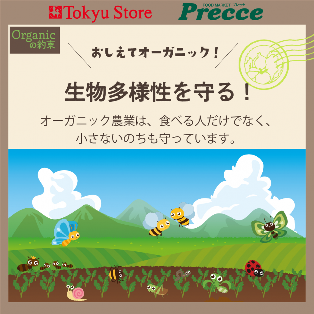 サステナブルな社会に貢献②