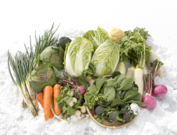 旬の野菜・果物のバナー画像