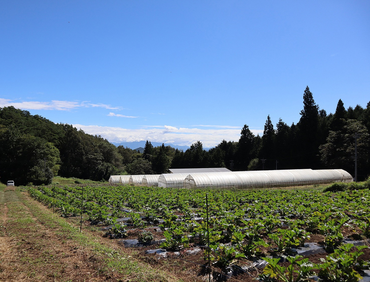 Organicの約束のメインビジュアル画像