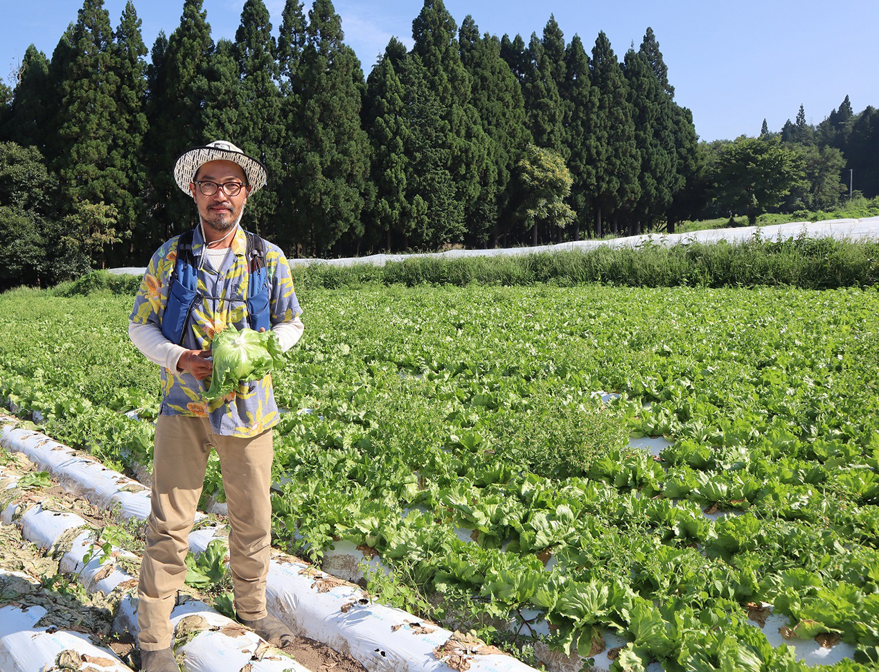 Organicの約束のメインビジュアル画像