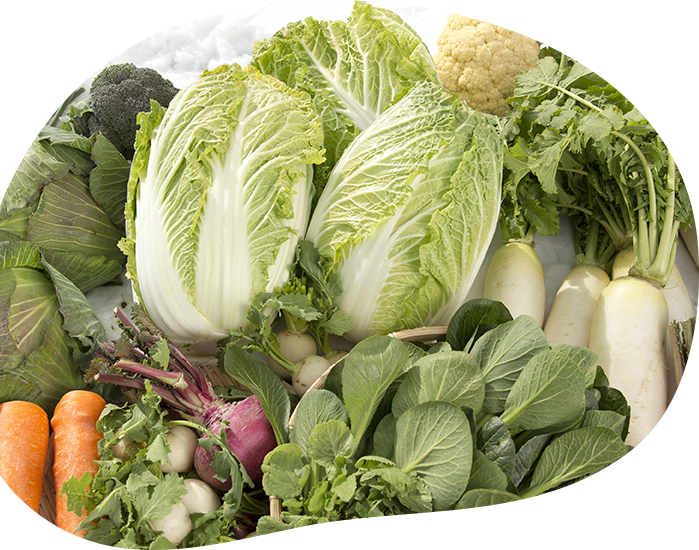 旬の野菜・果物の画像