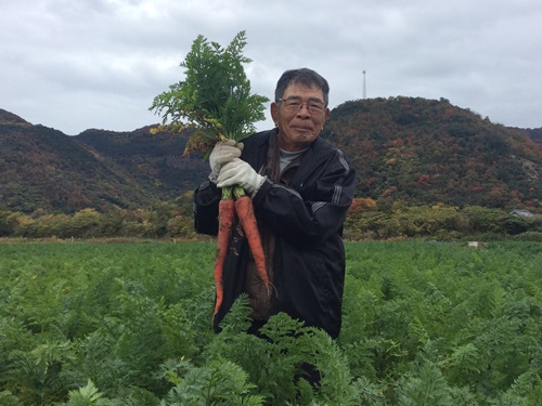 MOA自然農法中讃岐研究会の写真