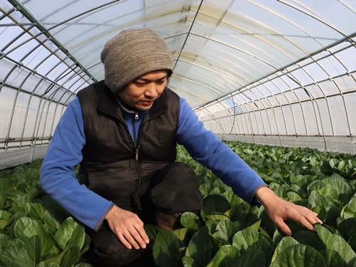 HATAKEカンパニーの写真