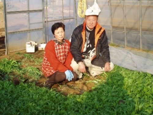 フォーチャイルドファームの写真