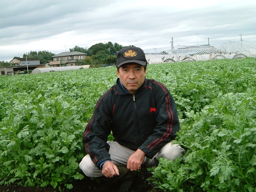 カット野菜の生産者