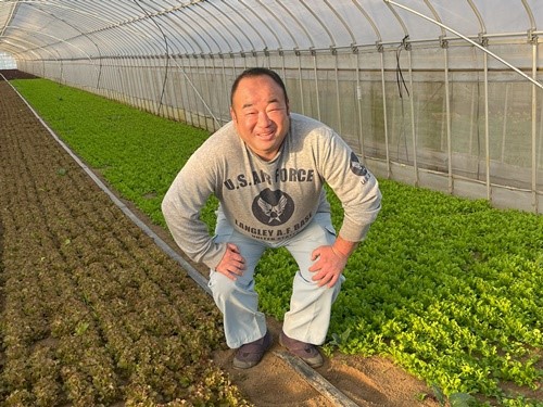 その他葉茎菜類の生産者